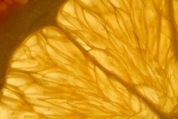 Macro shot of an orange slice, produced in a studio environment