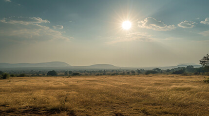 A hot and humid summer afternoon with the sun glaring down on a parched landscape. - obrazy, fototapety, plakaty