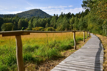 Brazilka is a wetland in the Lužické mountains, in the north of the Česká Lípa district.