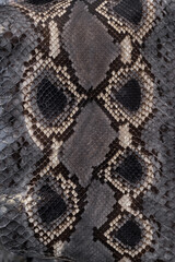 Dark python Exotic texture
