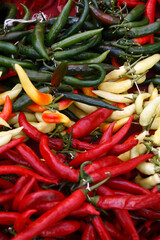 Santarcangelo di Romagna: fiere autunnali: peperoncino