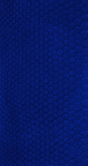 blue python Exotic texture

