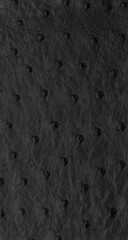 black Exotic ostrich texture
