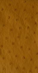 Ginger Exotic ostrich texture
