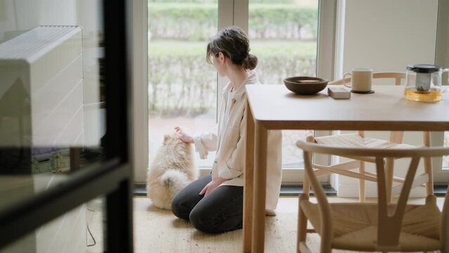Young woman pet cute dog Spitz Relax by Window in Stylish modern Japandi Home.  Simple Bonding Moments Female owner with Furry Friend. Cozy weekend best friends