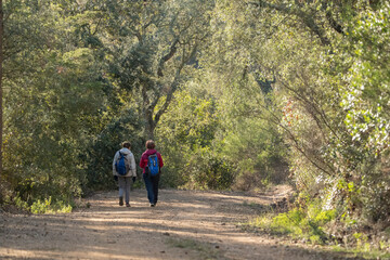 Obraz premium Dos señoras de paseo por el bosque