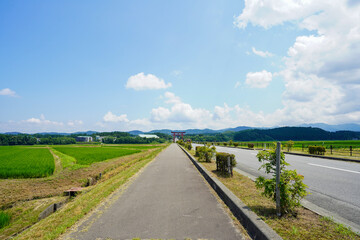 Fototapeta na wymiar 山形県 夏の田園風景