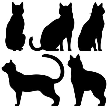 Vector set of cat silhouette. Beauty Cleo cat hand drawing animals set and vector illustration