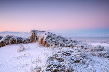sunrise on snowy dutch beach - 723273146