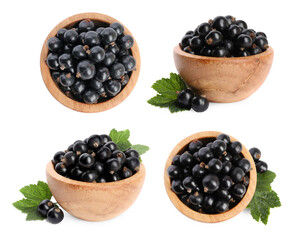 Fresh blackcurrants in wooden bowls on white background, collection