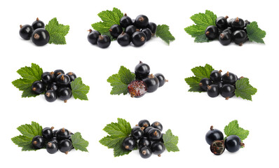 Fresh black currants with green leaves on white background, collection