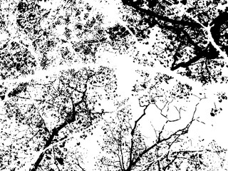 Rustic grunge texture with grain and stains. Abstract noise background. PNG graphic illustration with transparent background.