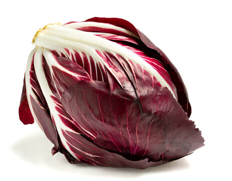 Radicchio Salat isoliert auf wei&szlig;em Hintergrund, Freisteller