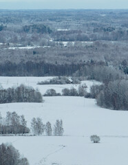 Winter landscape in the Latvian countryside (next to Lake Siver)