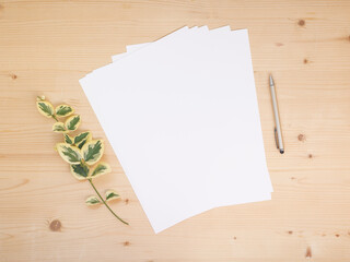 Paper A4 empty on wooden table with pen and ivy branch. Office stationery mock up flat lay. - 723288124