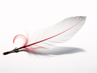 a feather with red and white feathers