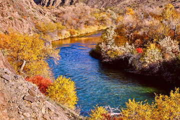 Crystal clear water of a mountain river surrounded by autumn forest