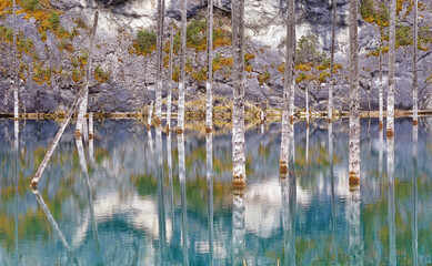 Majestic view of the sunken forest in Kaindy lake, Kazakhstan