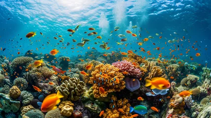 Fototapeten A vibrant coral reef bustling with colorful fish and marine life. © Lisan