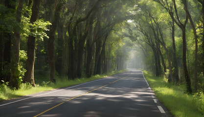 Obraz premium Whispers of Adventure Endless road through a rainforest, whispering tales of faraway lands and untold stories 