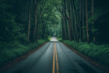 Fototapeta premium Creepy Forest Engulfs Deserted Road Amidst Wild Natures Untamed Beauty