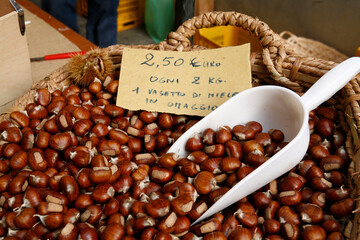 Casola Valsenio 2008: Festa dei Frutti Dimenticati: Bancarella dell'Azienda agricola Minardi...