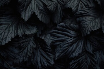 A close-up shot of a bunch of black leaves. Perfect for adding a touch of darkness and mystery to any project