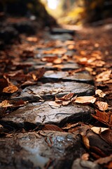 Fototapeta premium A picturesque cobblestone path covered in fallen leaves. Perfect for adding a touch of autumn charm to any design