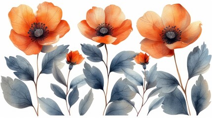  a watercolor painting of three orange flowers with leaves on a white background with a black center in the center.