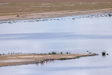 pelican peninsula in Amboseli NP