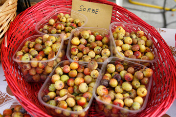 Casola Valsenio 2008: Festa dei Frutti Dimenticati: Sorbe