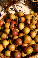 Casola Valsenio 2008: Festa dei Frutti Dimenticati: Bancarella dell'Azienda agricola Collinelle di Agide Anselmo
