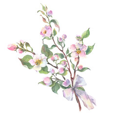 Watercolor apple tree branch and flowers bouquet with white bow, blooming tree on white background, isolated watercolor illustration. It's perfect for wedding cards, mothers day and valentines card.