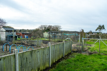 Allotment in the winter time