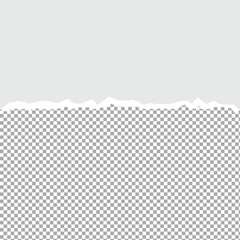 Torn paper with ripped edges and transparent space for you design. Paper texture with ripped edges and shadow. Horizontal banner template. Vector illustration. EPS file 171.