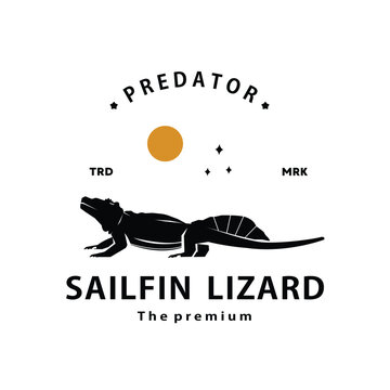 vintage retro hipster sailfin lizard logo vector outline silhouette art icon