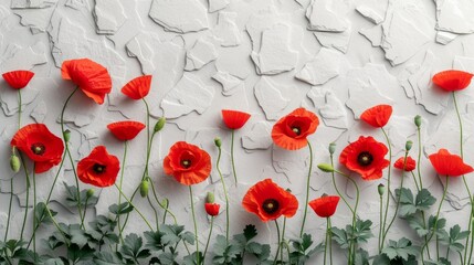 blooming poppies red flowers on a white stone wall background