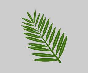 Palm Sunday banner template for Christian holiday, with palm tree leaves