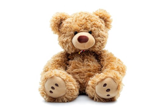 Teddy bear toy alone on white background