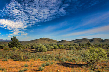Outback landscape with low, drought-resistant vegetation and low hills in the Flinders Ranges, South Australia, close to the village of Blinman

