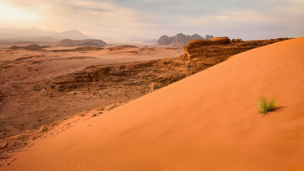 Fototapeta na wymiar Desert Scenery during sunset in Wadi Rum, Jordan. 