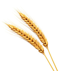 Golden wheat stalk clip art