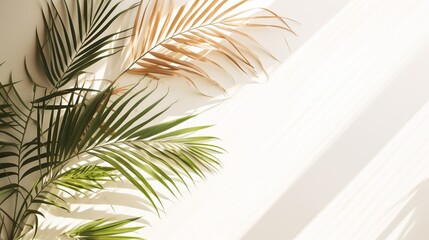 Soft shadows of tropical palm leaves on a white background. The concept of summer, an abstract minimalistic photo for advertising. tropical background for product advertising