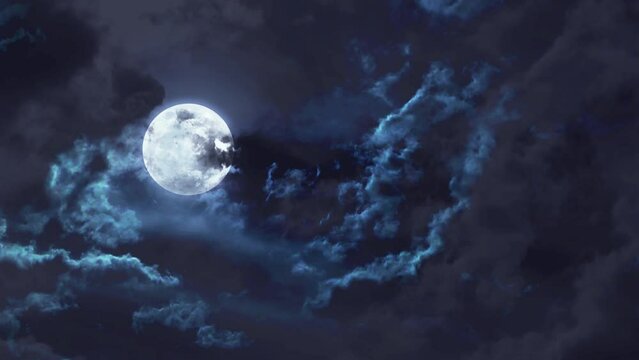 おぼろ月 楽天市場】【ふるさと納税】おぼろ月 オレンジ・チーズ12個セット