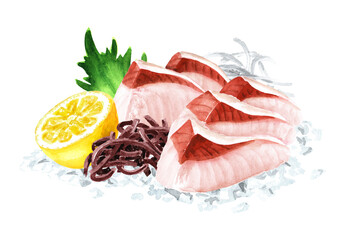 Japanese greater amberjack Sashimi. Hand drawn watercolor illustration  isolated on white background