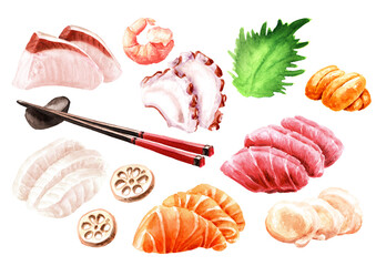 Japanese Sashimi elements set. Hand drawn watercolor illustration, isolated on white background