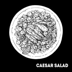 Caesar salad hand drawn sketch. Top view. Caesar salad with chicken. Vector illustration.