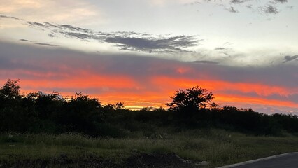 sunset in the mountains, Sunset in the forest 