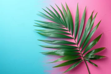 Crédence de cuisine en verre imprimé Turquoise A vibrant palm leaf thrives amidst a dreamy pastel landscape, showcasing the resilience and beauty of terrestrial plants