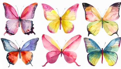 watercolor colorful butterflies isolated butterfly on white background blue yellow pink and red...